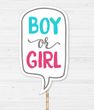 Табличка для фотосессии "BOY OR GIRL" для гендер пати (90-410)